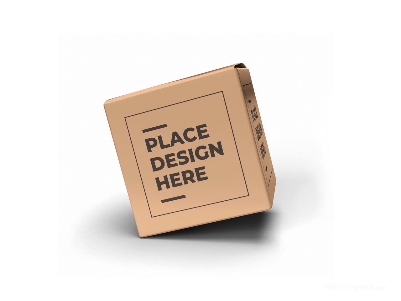 【2078期】正方形纸盒纸箱包装样机 (7)