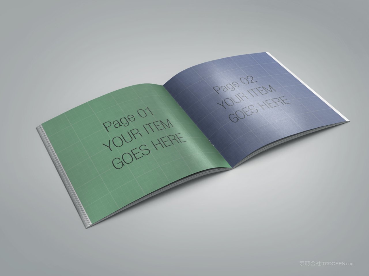 brochure杂志宣传册样机 (2)
