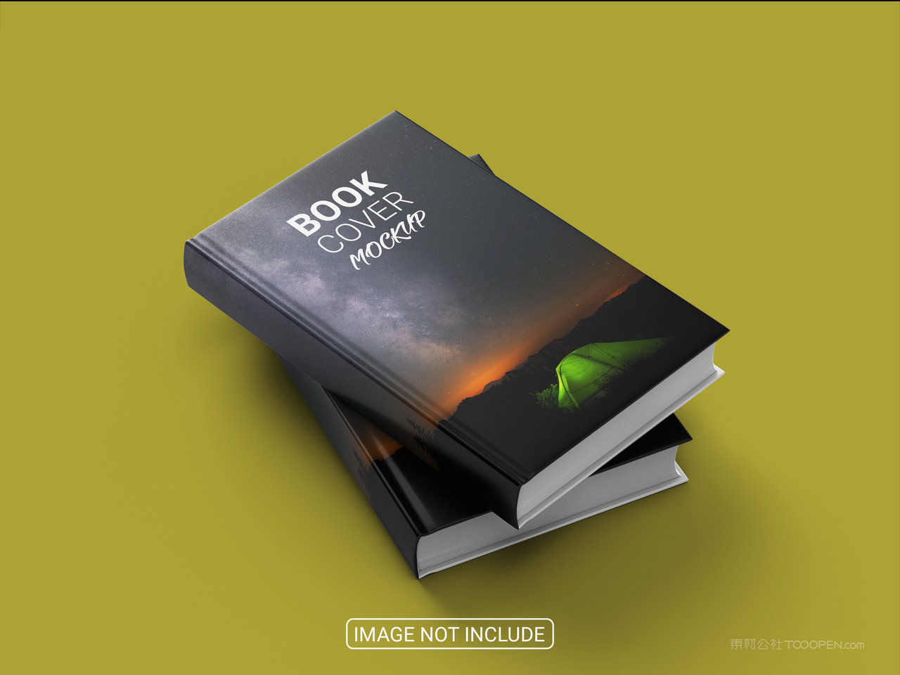 精装书画册样机