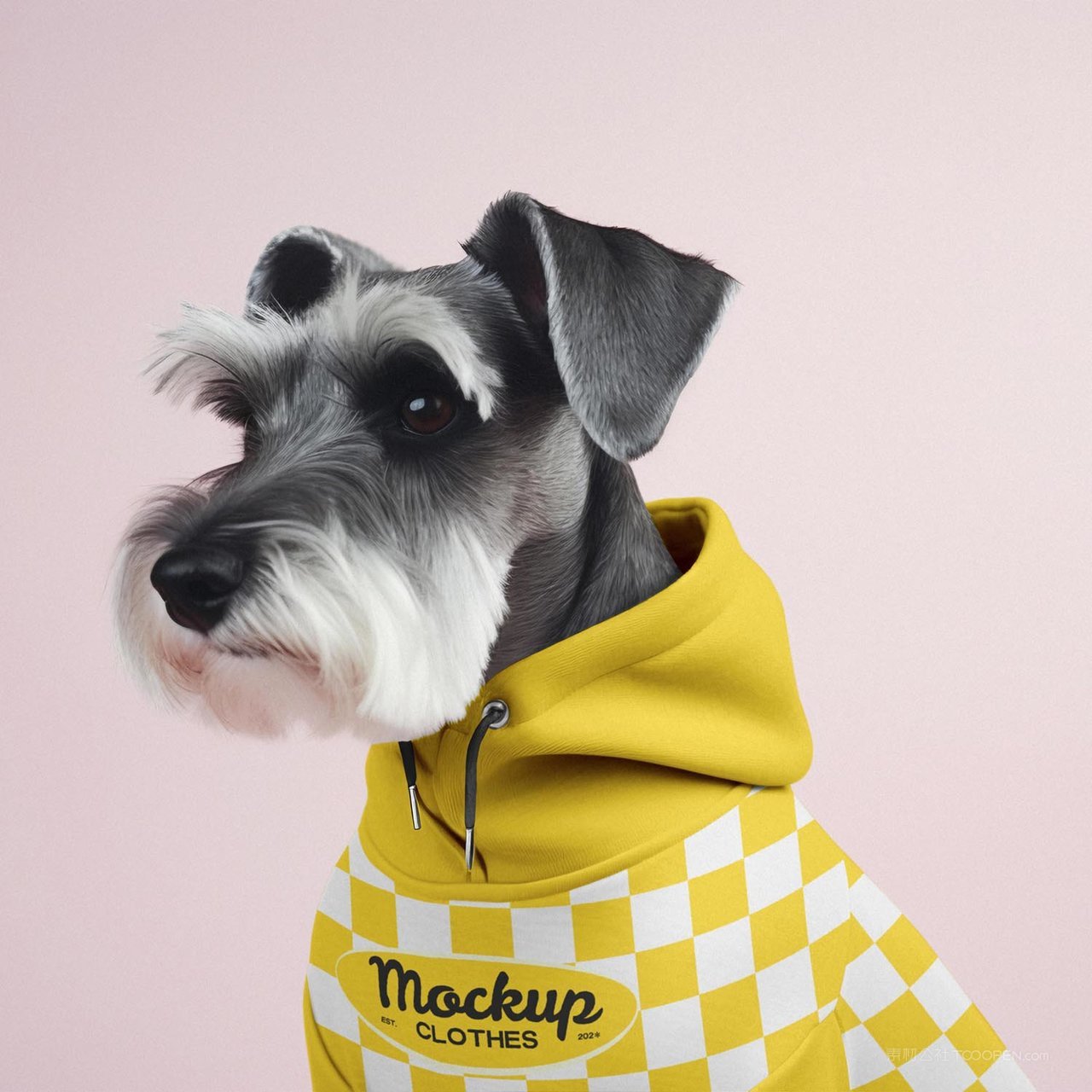 萌宠穿搭新风尚狗狗服饰贴图样机