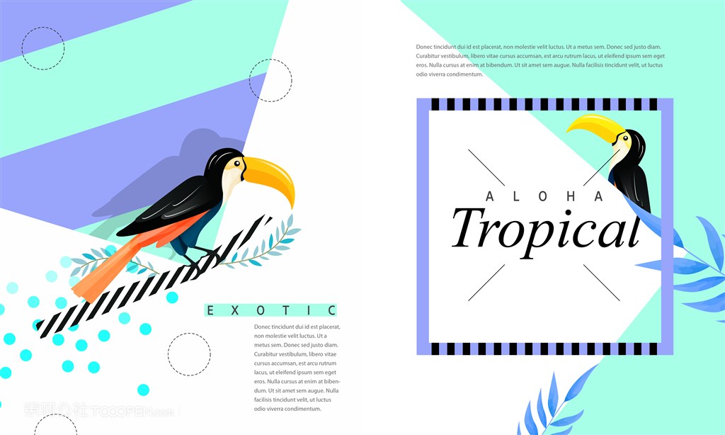 食量小鸟画册设计