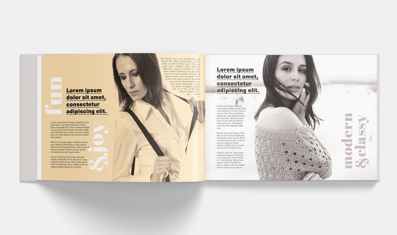 精装硬壳厚厚的书本书籍样机 (8)