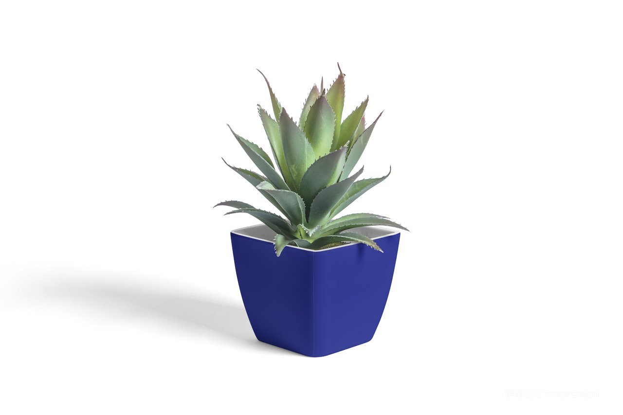 品牌VI形象展示样机小盆栽