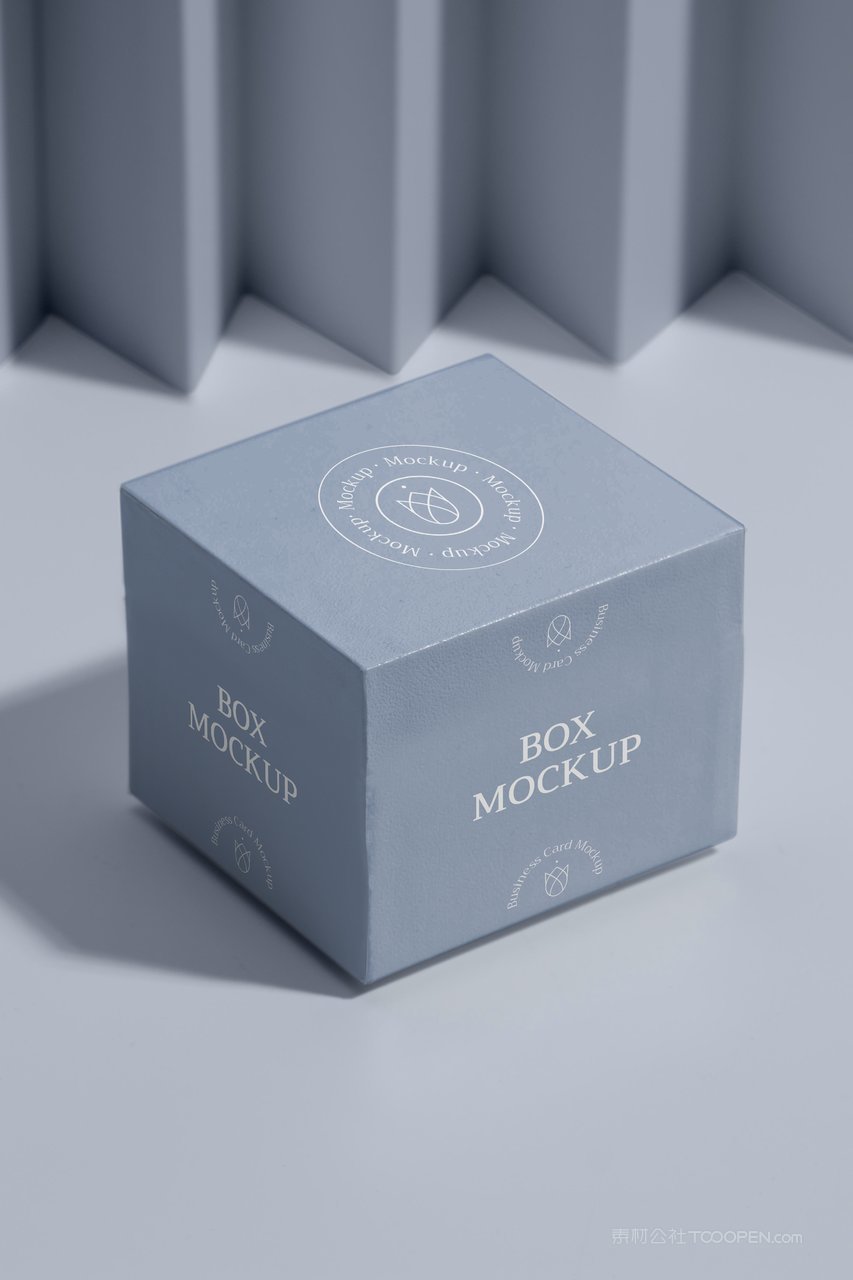 淡蓝光影精品纸盒纸箱样机 (1)