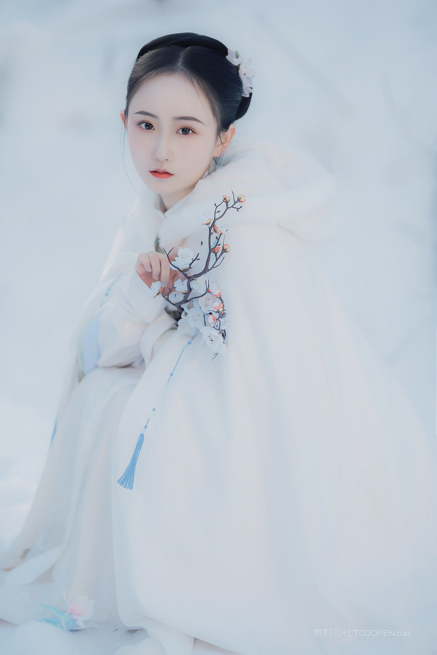 眉清目秀的古装美女摘梅花艺术照片