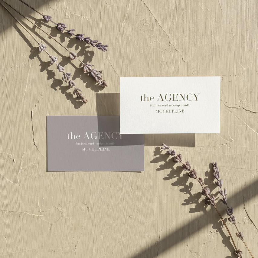 文艺植物白墙白色名片光影场景样机