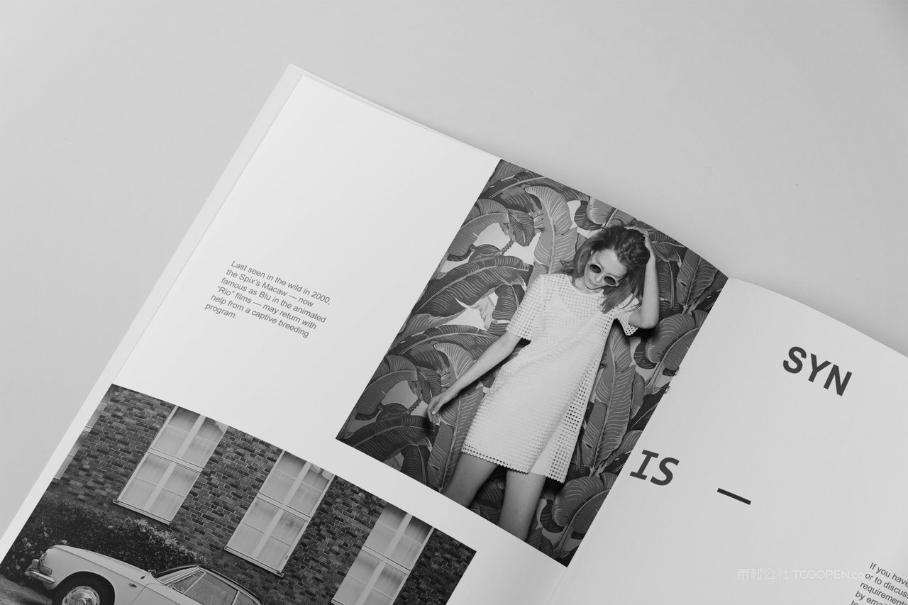 杂志书籍A4画册样机