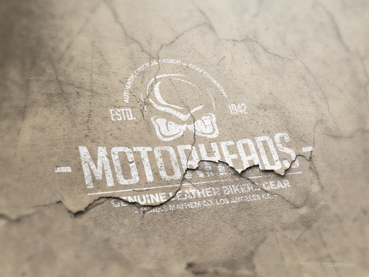 企业通用logo标志样机 (71)