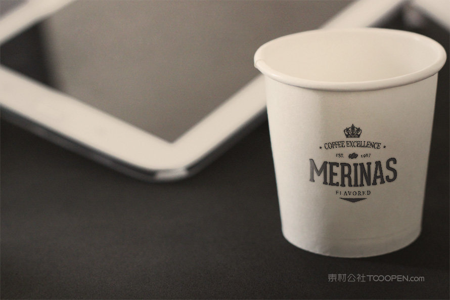 纸张材质企业通用logo标志样机 (30)