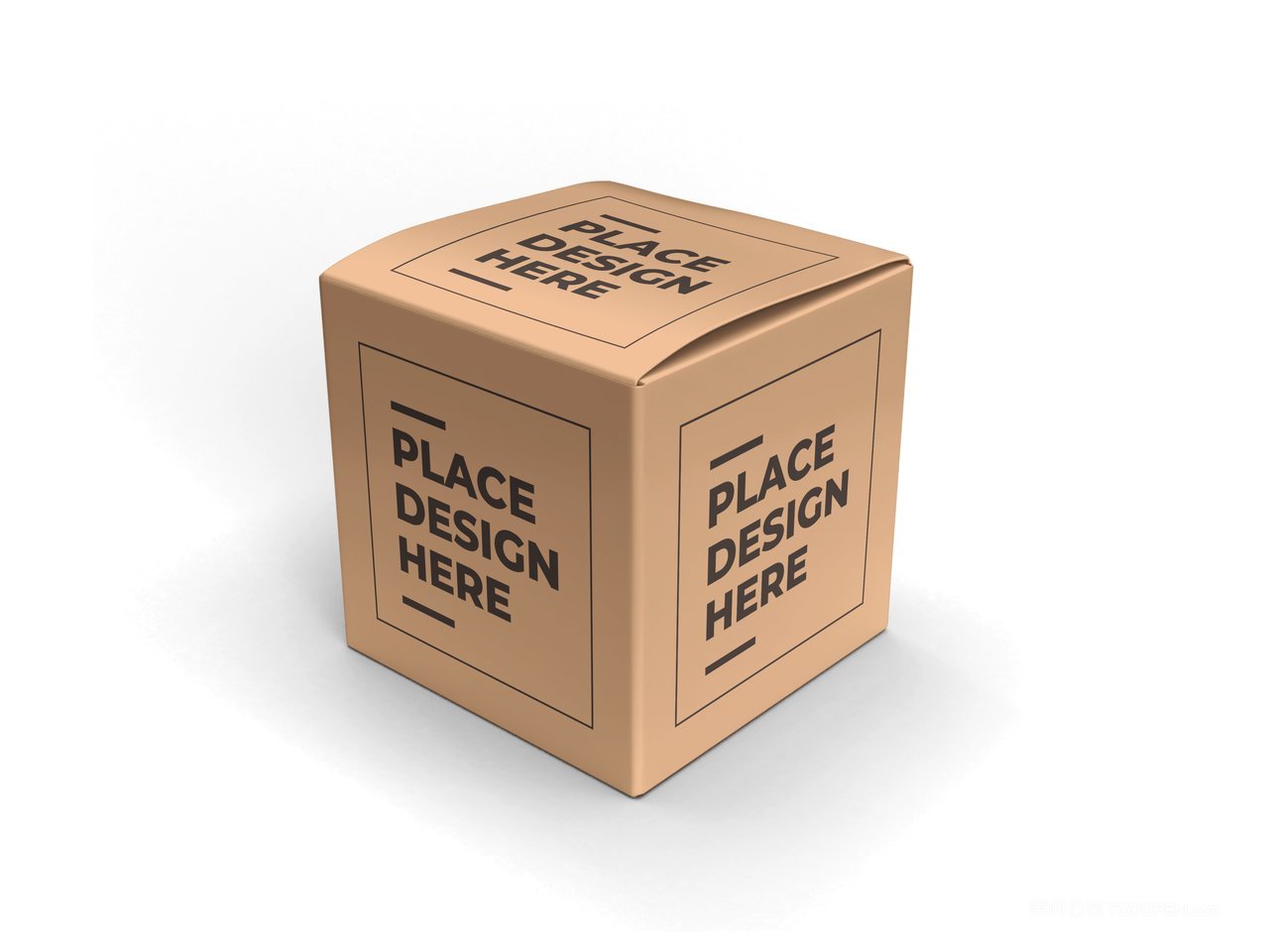 【2078期】正方形纸盒纸箱包装样机 (2)