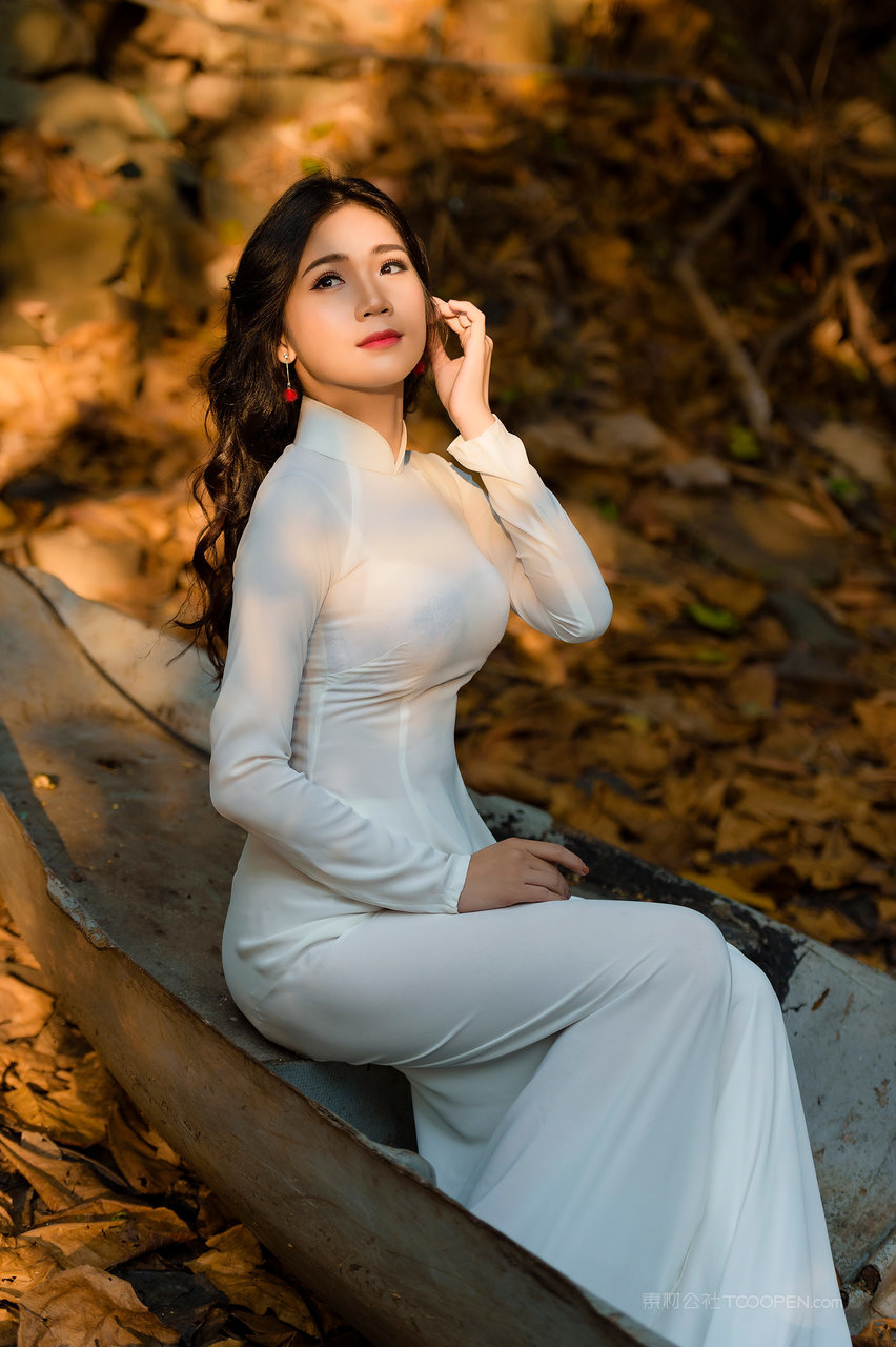 亚洲精品久久越南旗袍美女极品合集下载