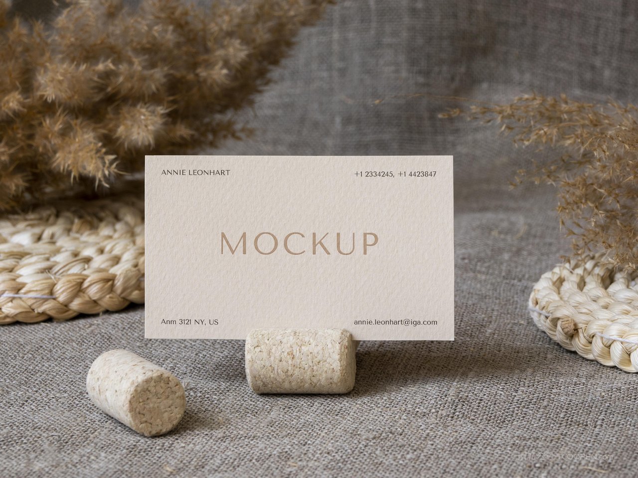 文艺植物纸质名片光影场景样机