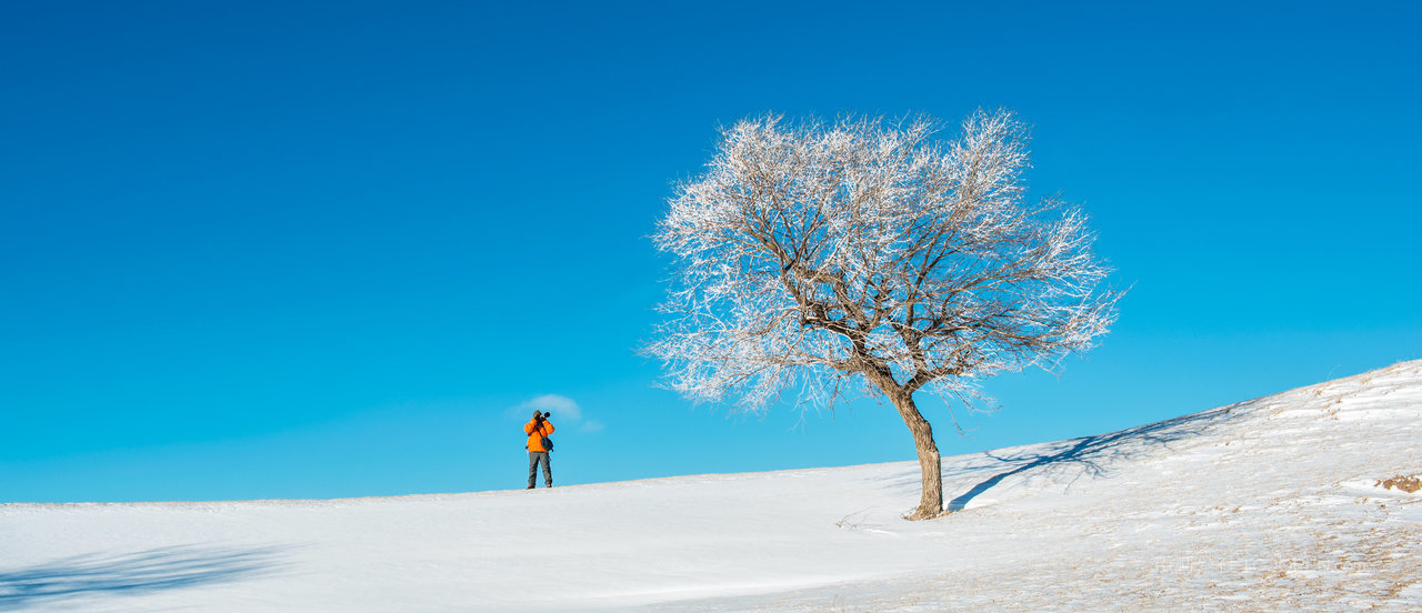 河北承德蓝天下的雾凇