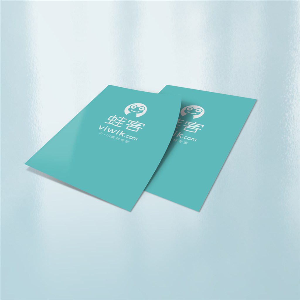 两本画册样机