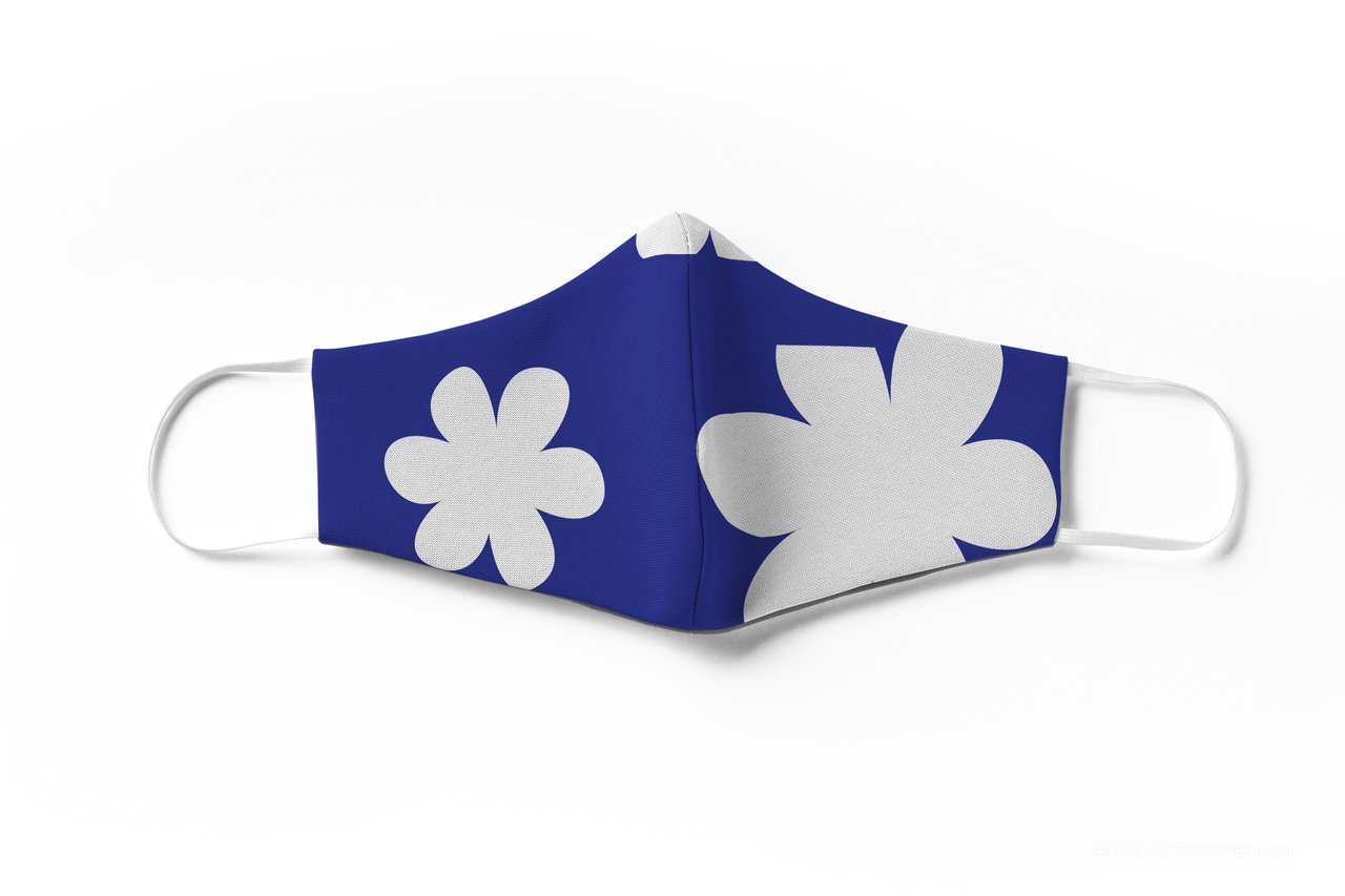 品牌VI形象展示样机口罩