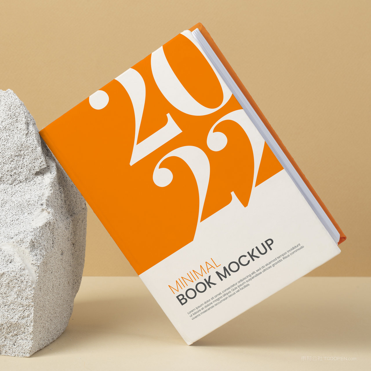 靠在石头上的精美书籍画册贴图样机