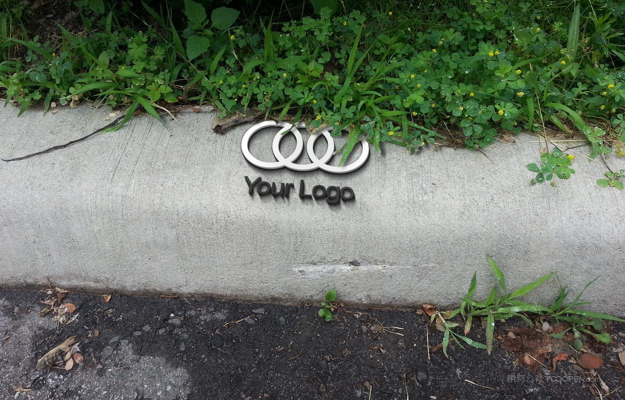 精致的3d logo展示样机 (7)