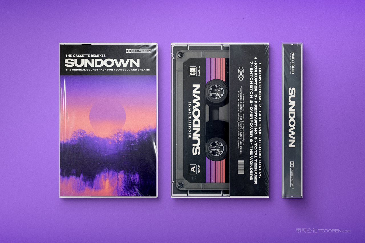 复古盒式音乐磁带包装样机 (2)