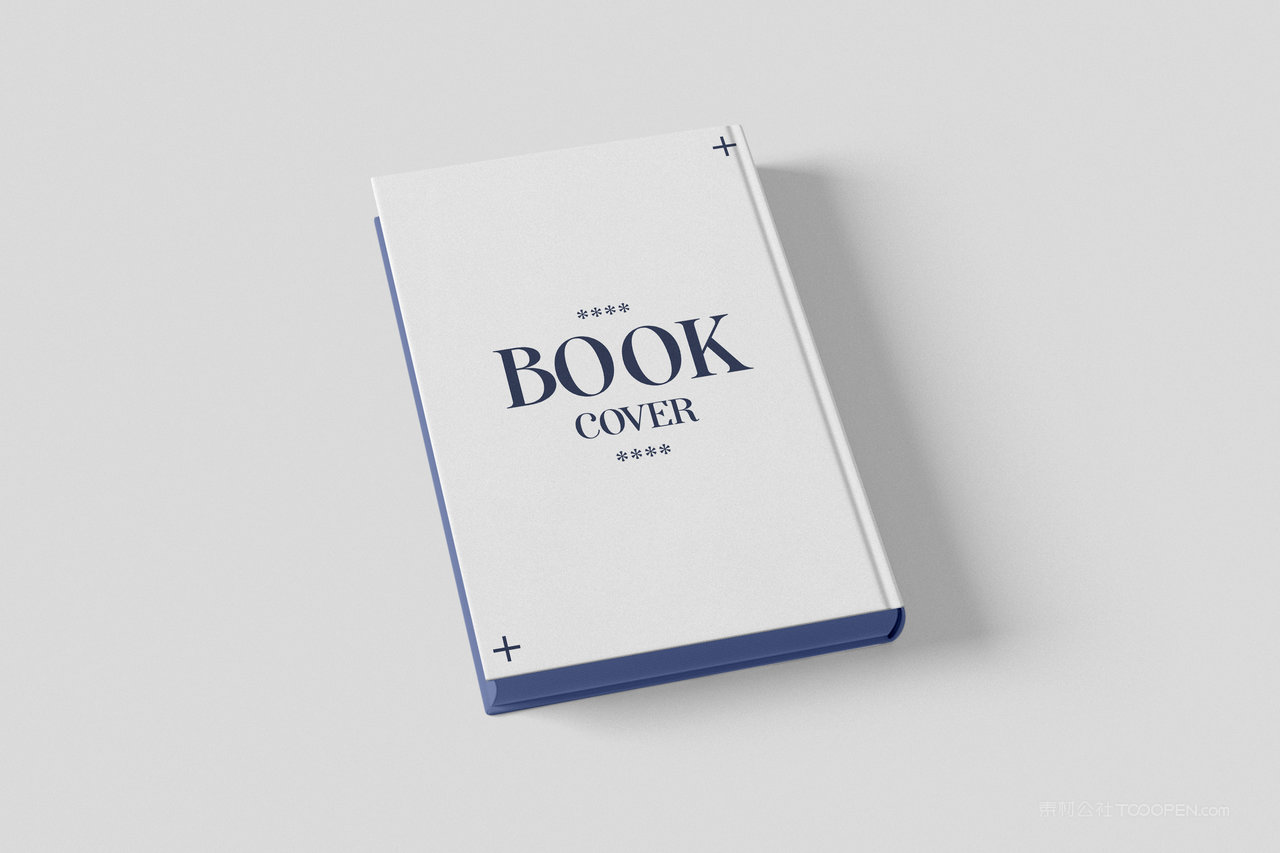 简约风格VI应用品牌画册书籍手册样机