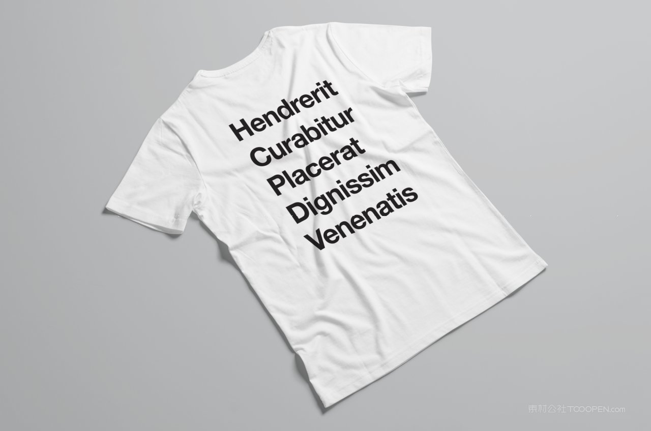 t-shirt企业t恤品牌vi系统样机 (17)