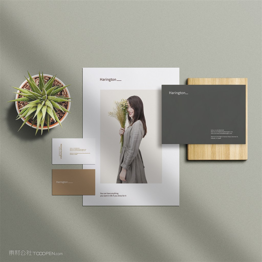 女性品牌vi名片宣传单页样机