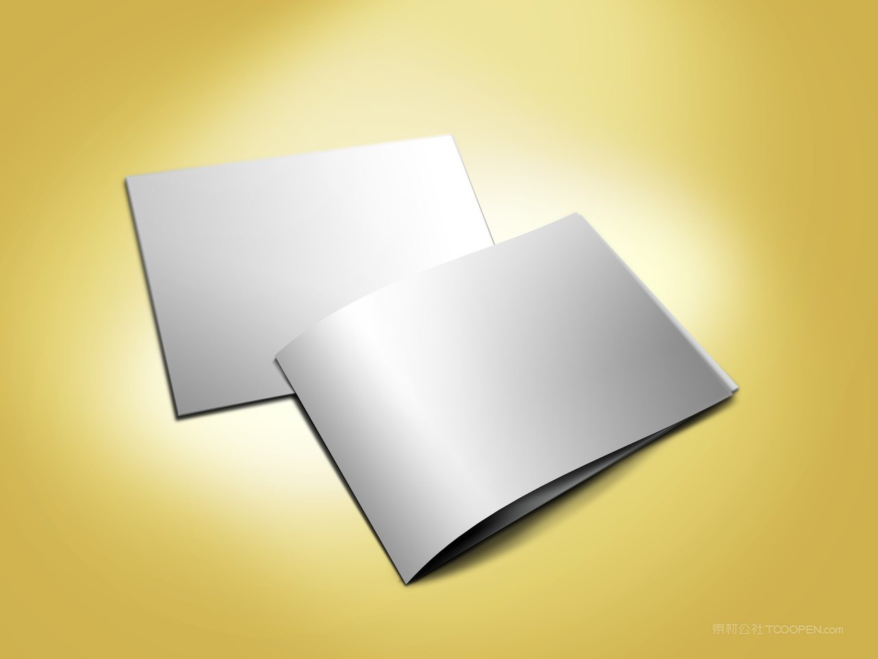 style骑马钉画册样机 (2)