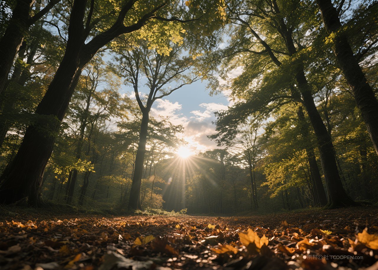 自然天空云层风景唯美日落落日云彩