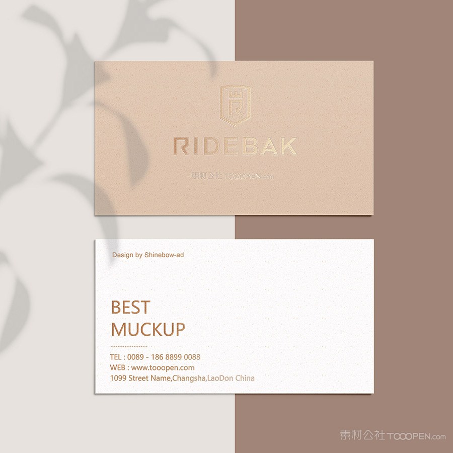 树叶名片贴图样机