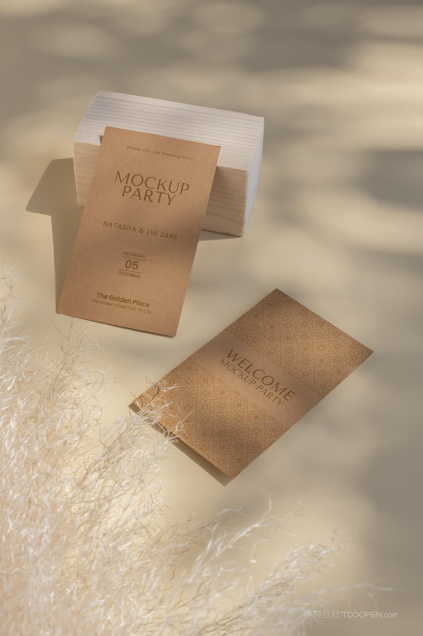 文艺植物纸质棕色名片光影场景样机