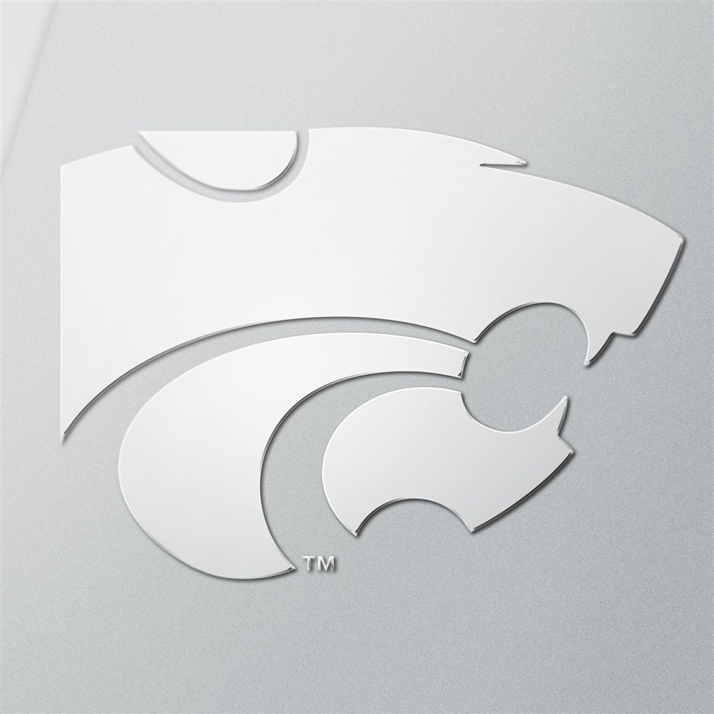 抽象图案logo样机