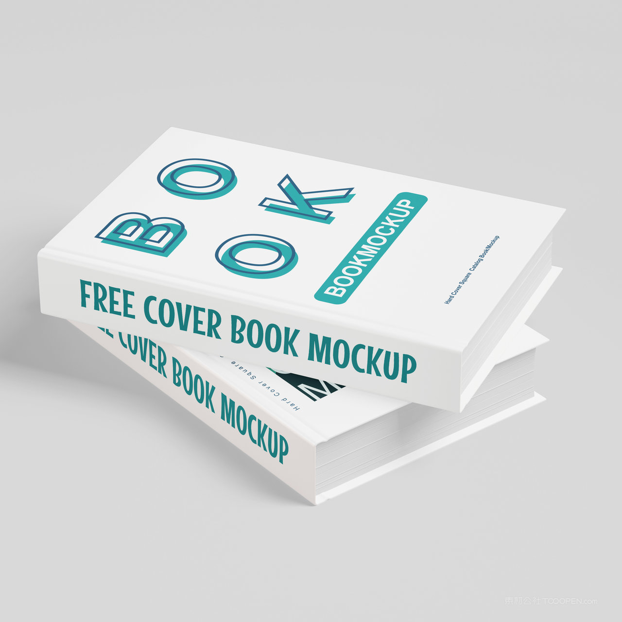 两本叠在一起的硬壳书籍贴图样机