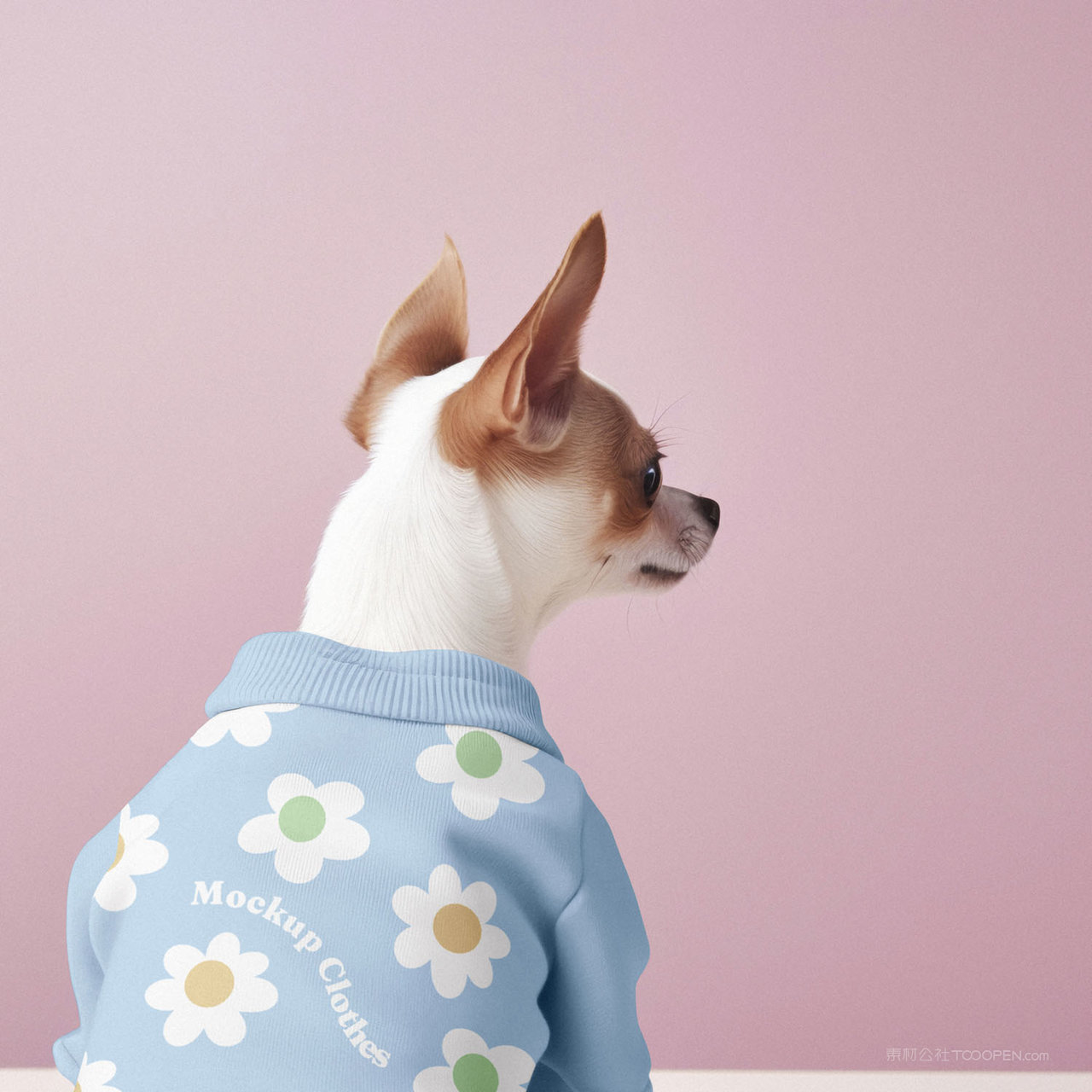 狗狗背影萌宠服饰贴图样机