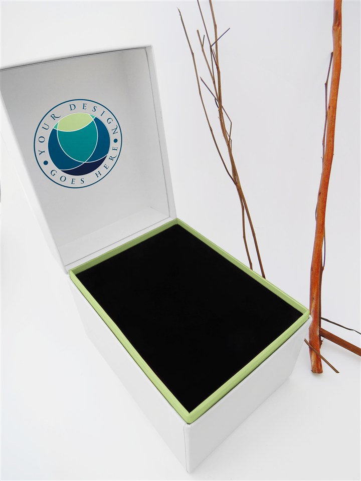 公司产品LOGO样机模板