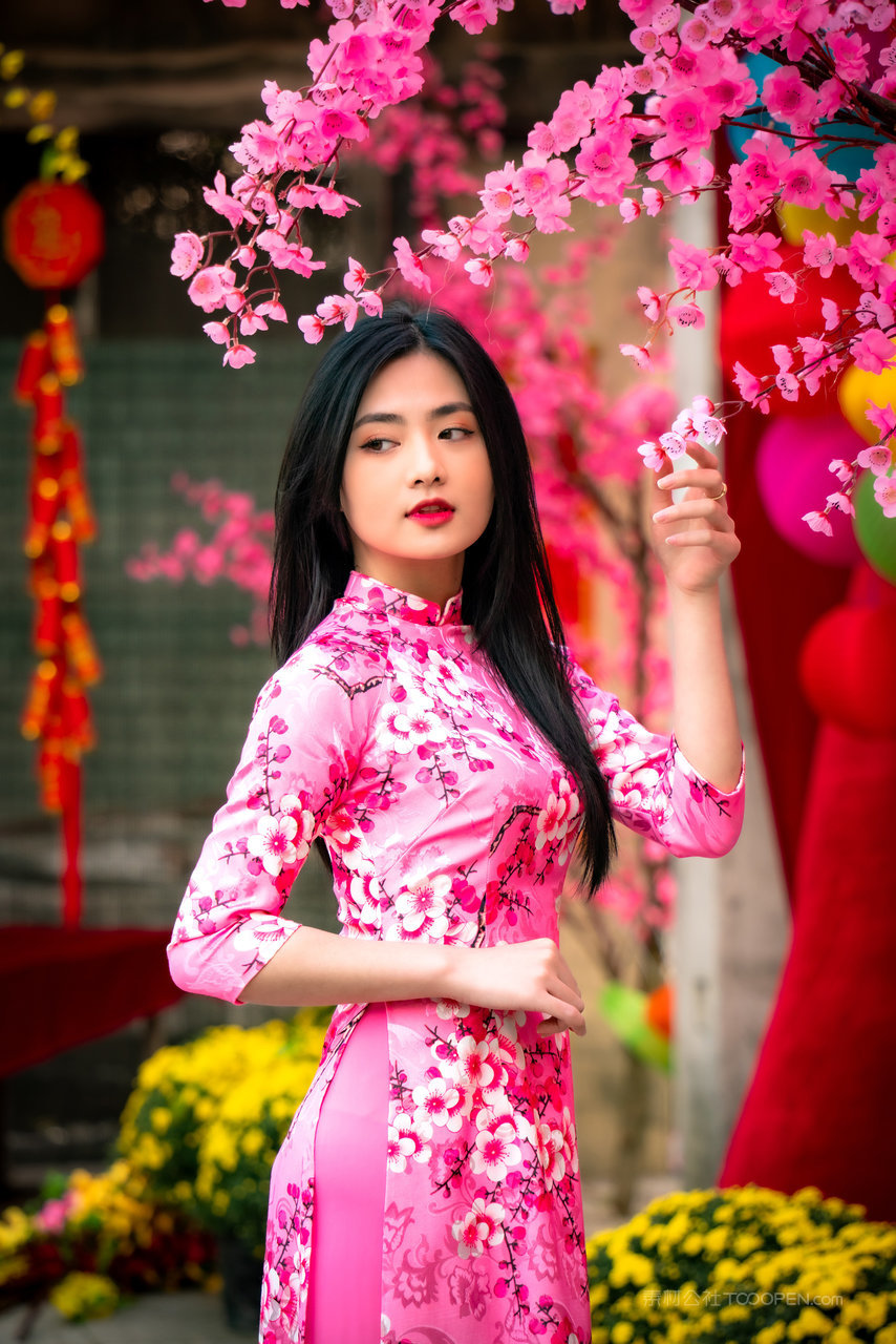 亚洲无码一区二区极品越南美女旗袍艺术照高清