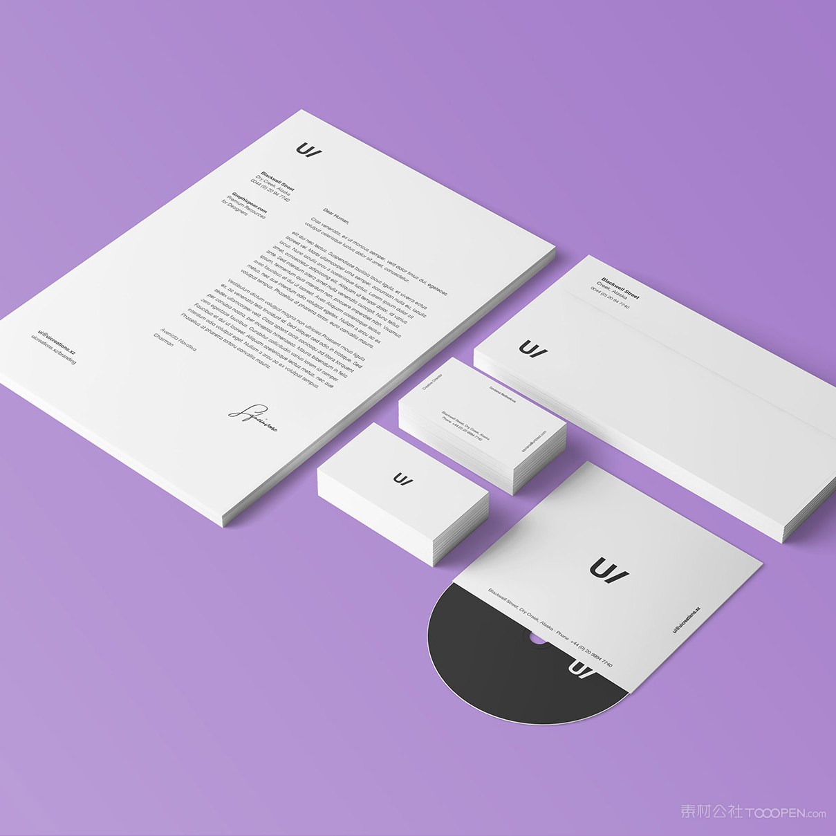 极简vi文档名片CD样机模板