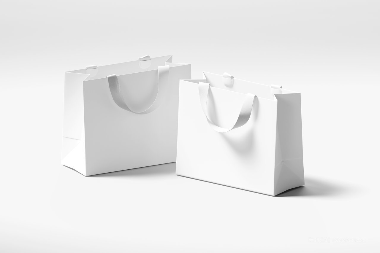 纸袋购物袋样机