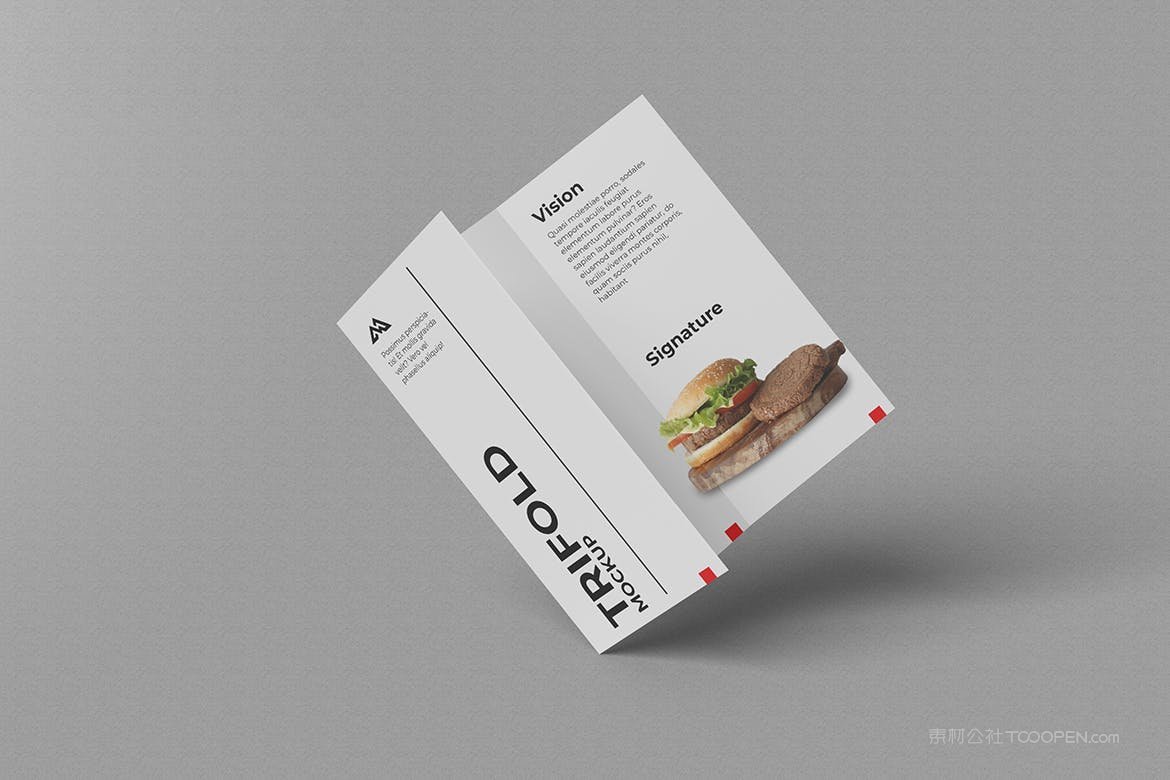 三折页宣传样机