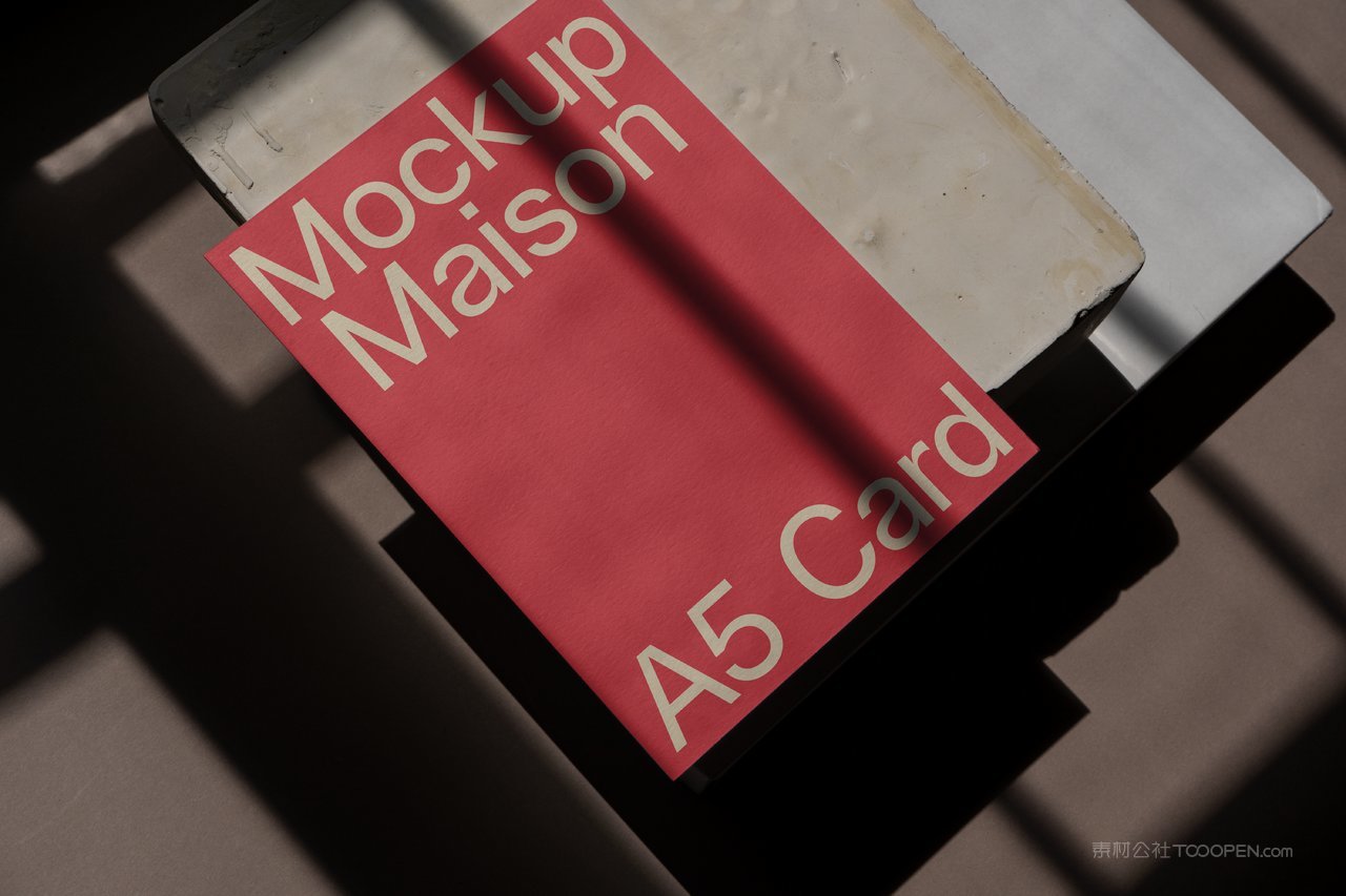 【2095期】小众vi品牌样机 (4)