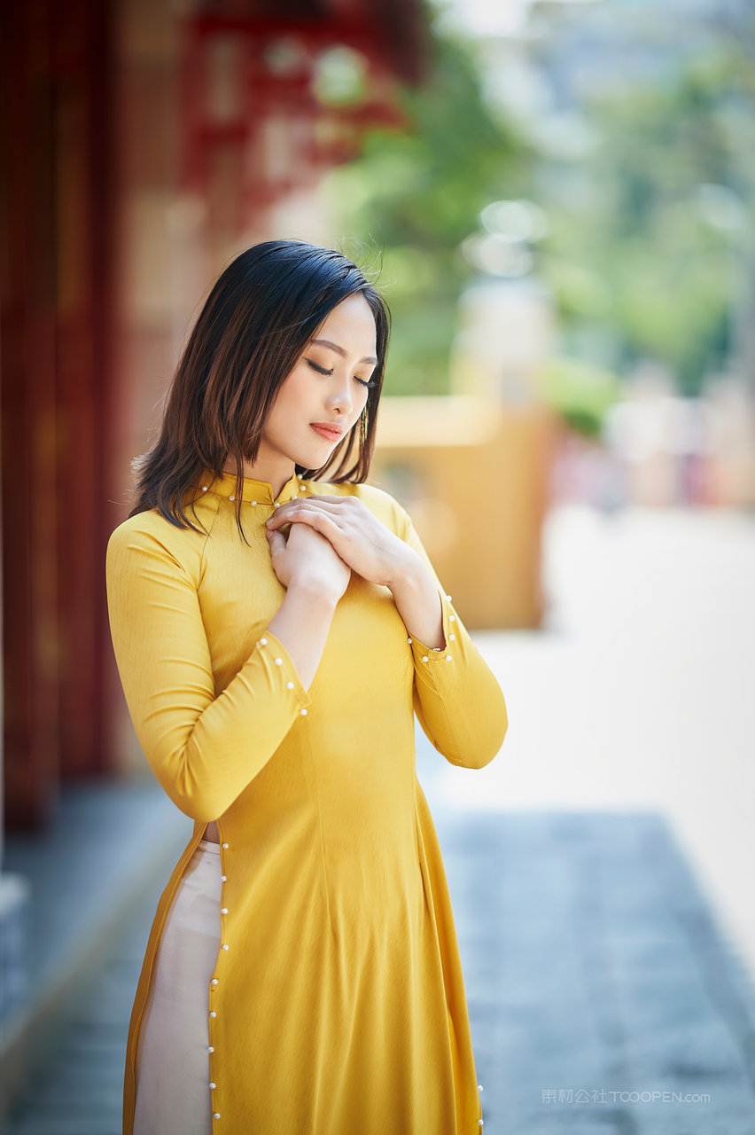 亚洲无码一区二区越南美女黄色旗袍艺术照图片大全