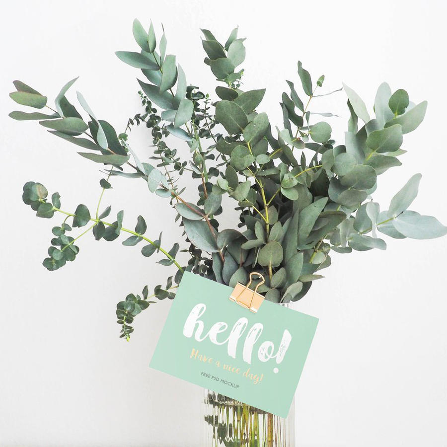 包装礼盒展示 (6)