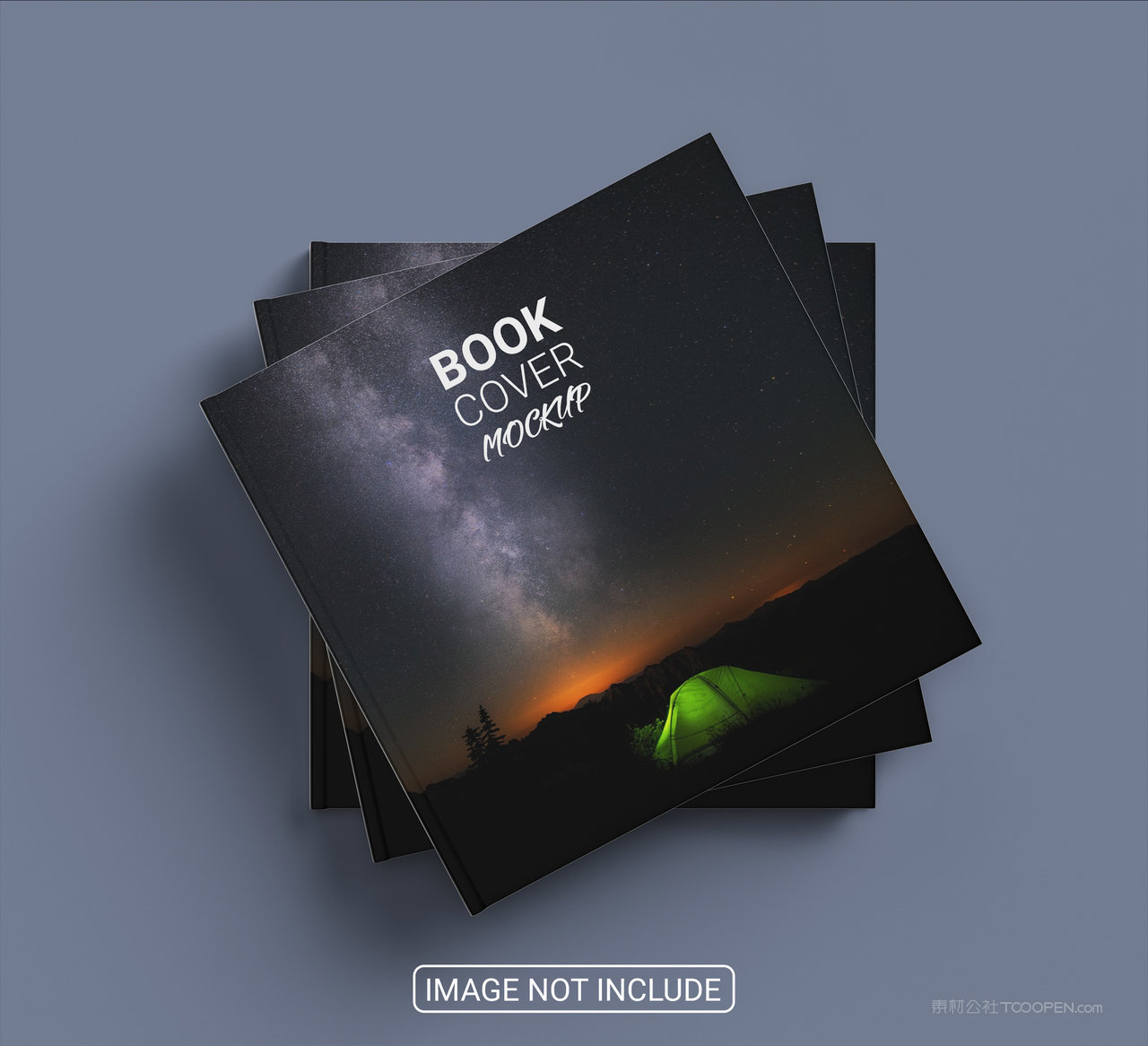 精装书画册样机