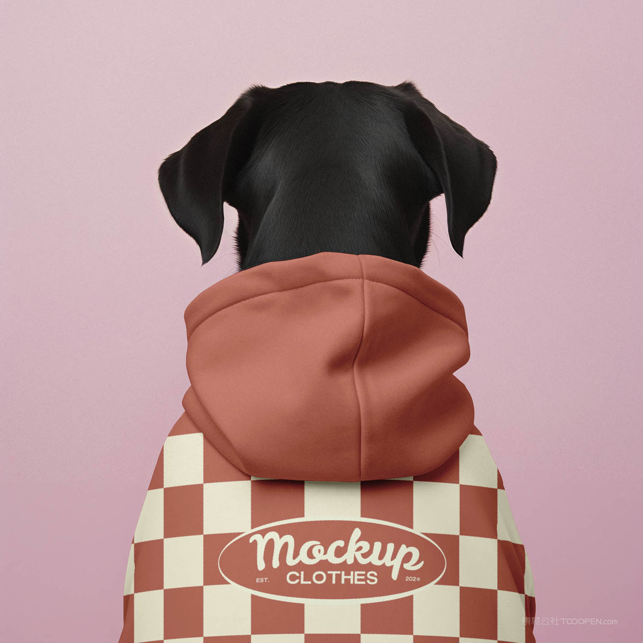 穿着卫衣的黑色狗狗背影宠物服饰贴图样机