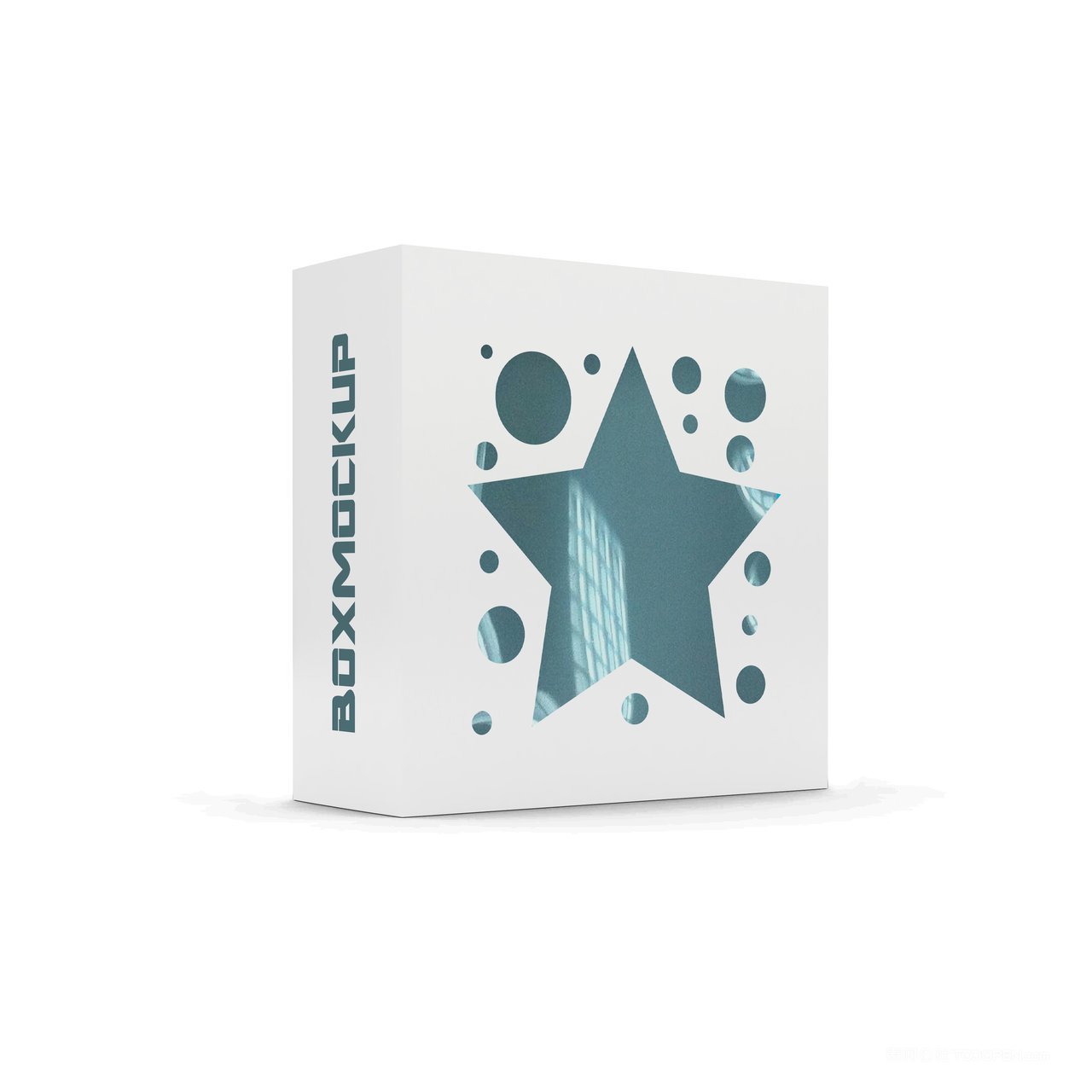 方形纸盒包装展示样机 (2)