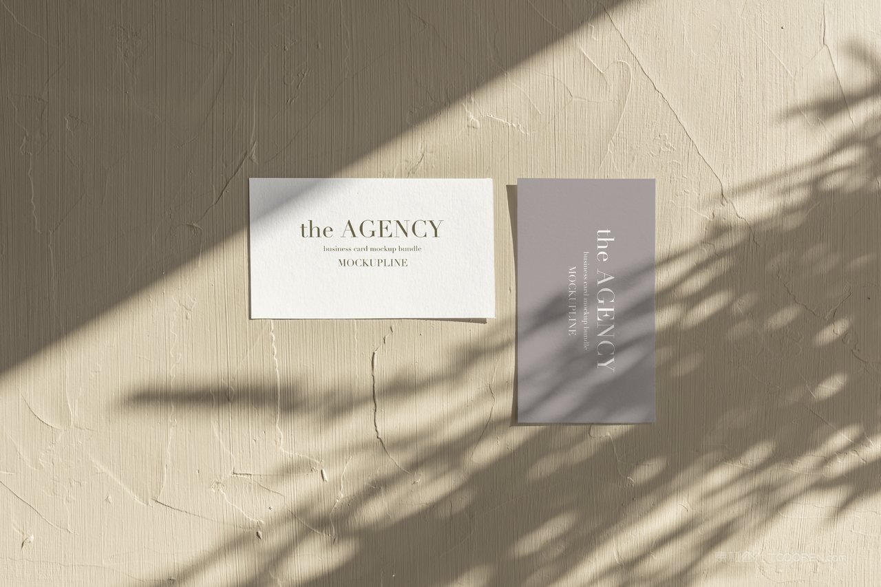 文艺白色名片光影样机