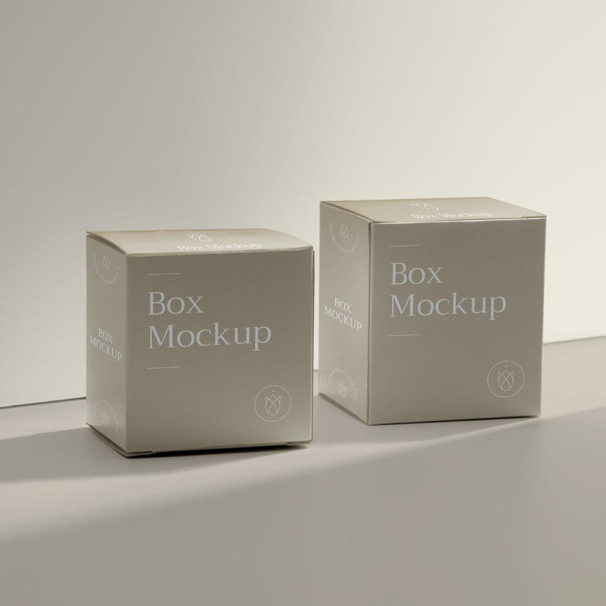 米色文艺光影精品纸盒纸箱样机 (4)