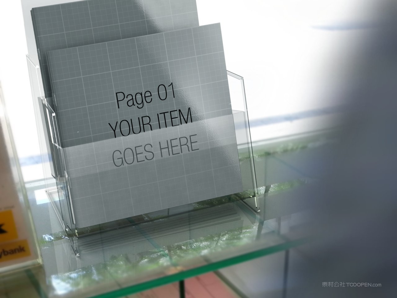 brochure杂志宣传册样机 (9)