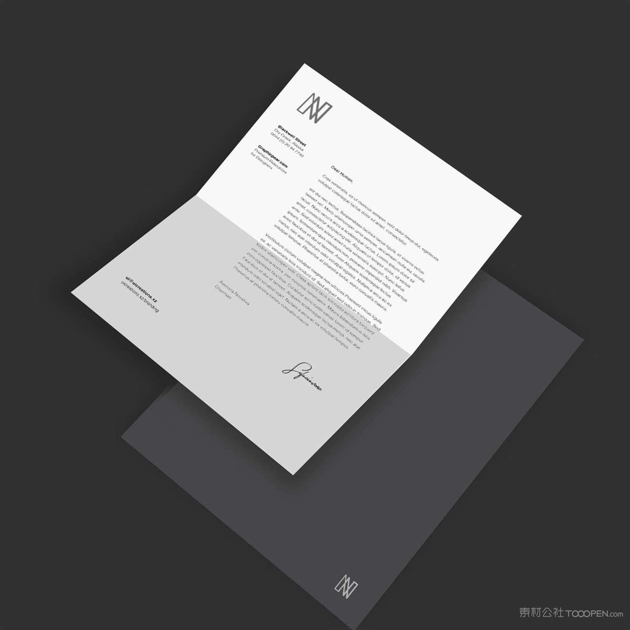 黑色轻奢viA4文档样机