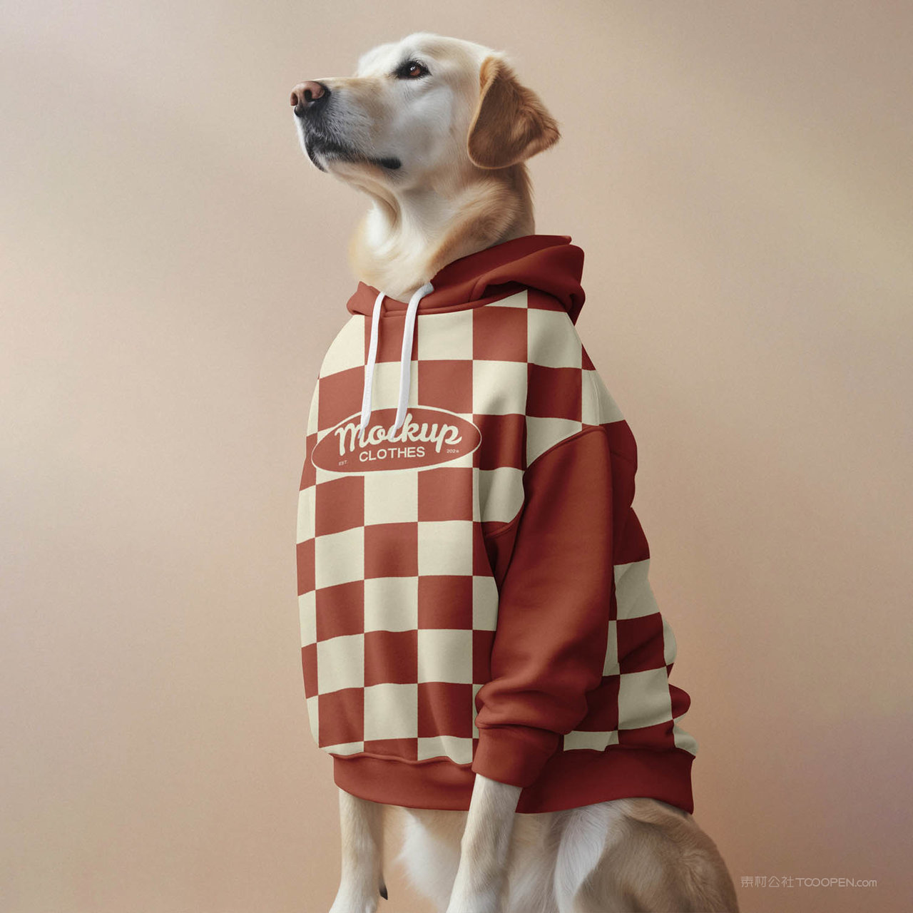 萌犬新衣宠物服饰贴图样机