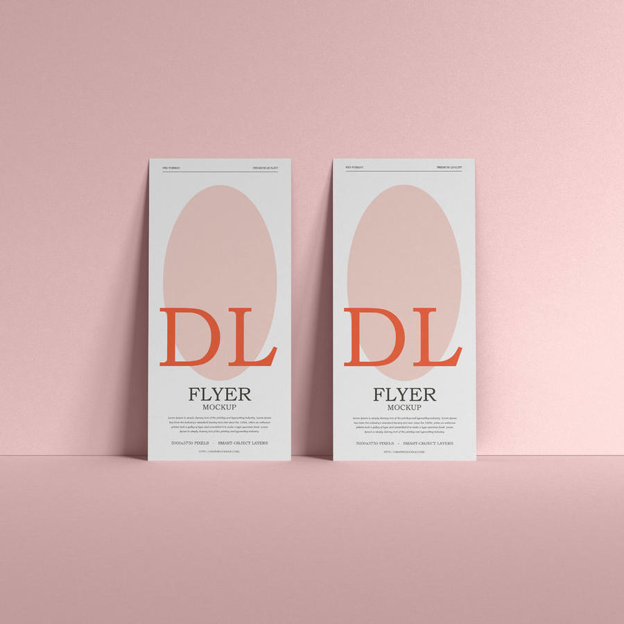 品牌Dl传单样机