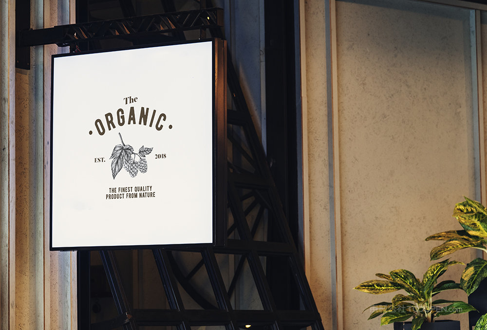 店招logo招牌样机